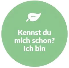 Bodenbeklebung