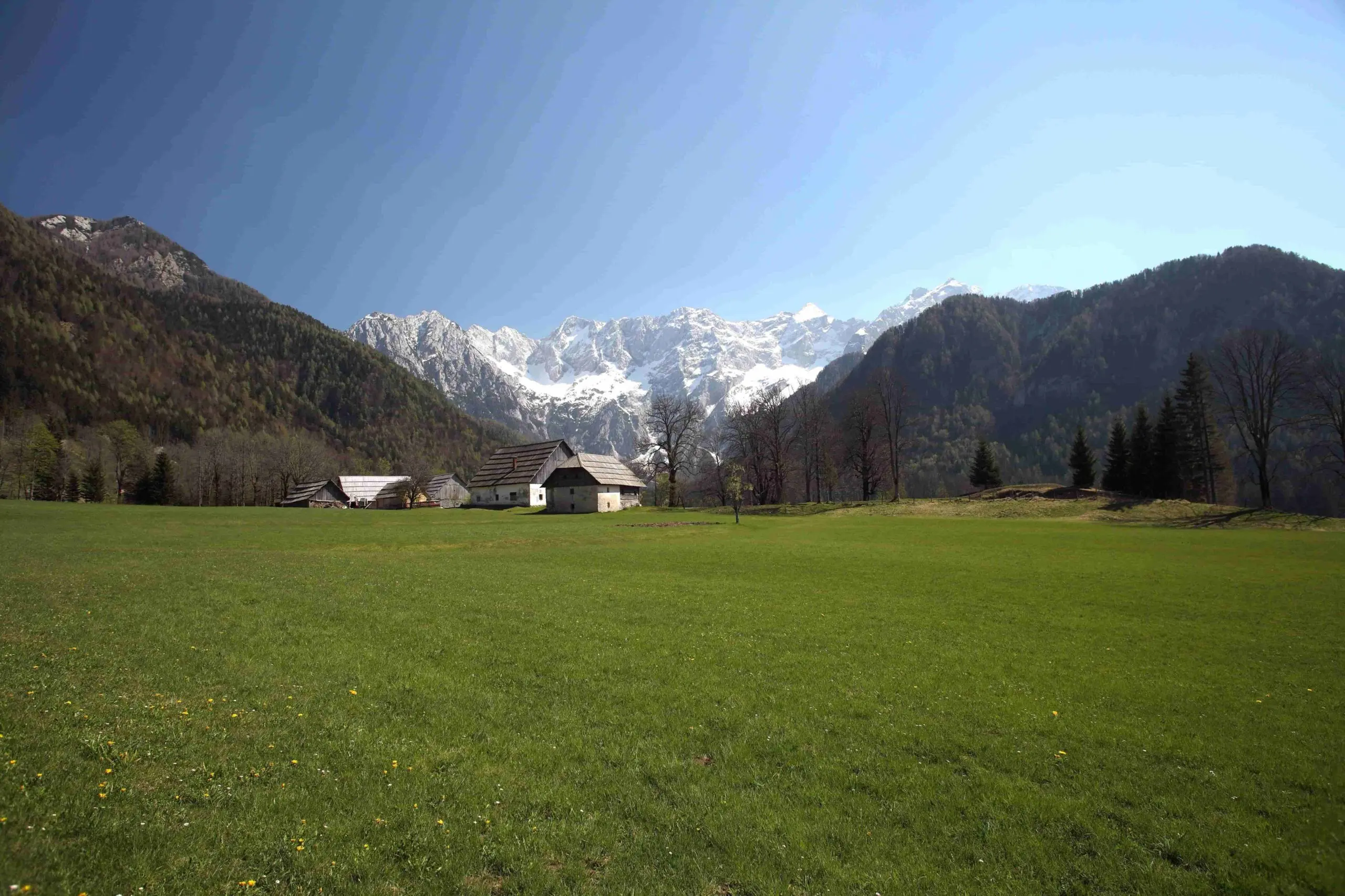 Hintergrund_2-web